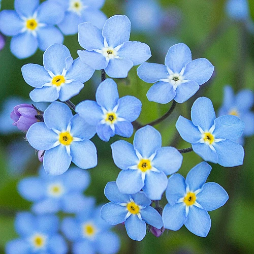 2026_05_29_862448